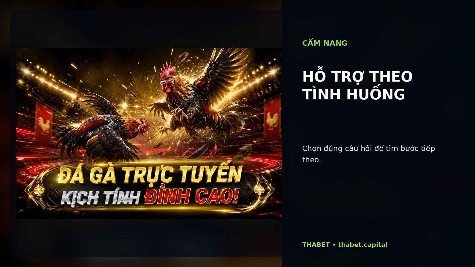 Hỗ trợ theo tình huống tại THABET